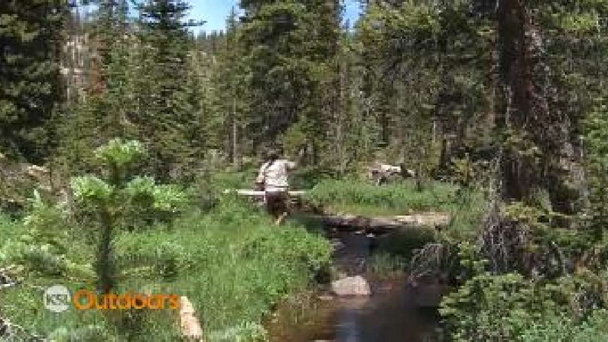 Fishing Report: Aug. 16, 2014