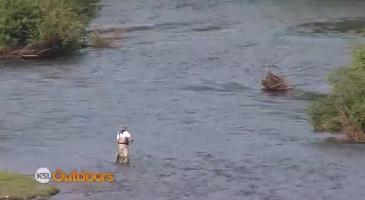 Fishing Report: Oct. 11, 2014