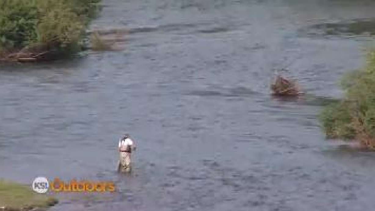 Fishing Report: Oct. 11, 2014
