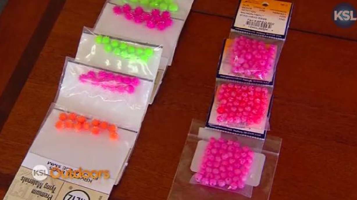 Fishing Report: Nov. 22, 2014