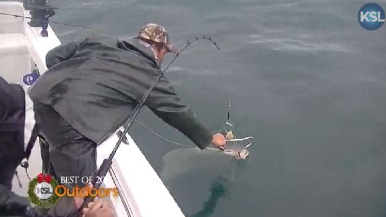 Fishing Report: Dec. 27, 2014