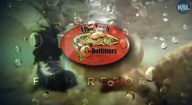 Fishing Report: Aug. 29, 2015