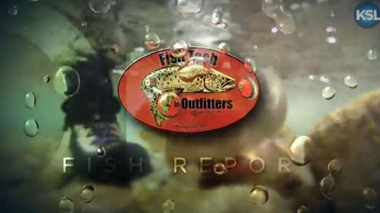 Fishing Report: April 26, 2015