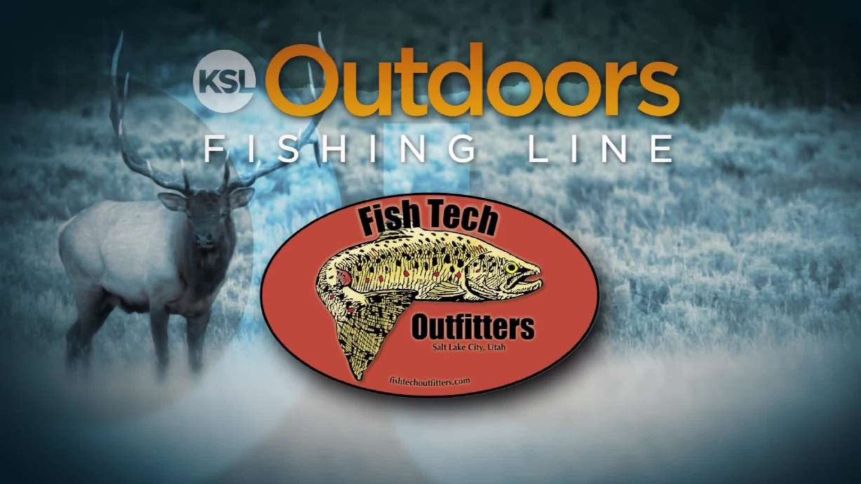 Fishing Report: Jan. 30, 2016