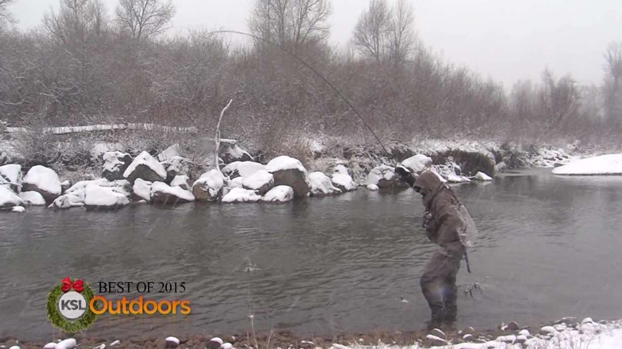 Fishing Report: Dec. 26, 2015