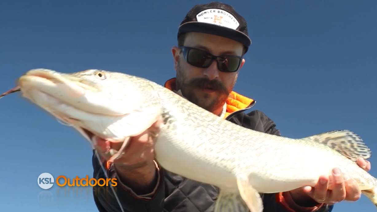 Fish Tech Fishing Tip: Spring Pike Fishing