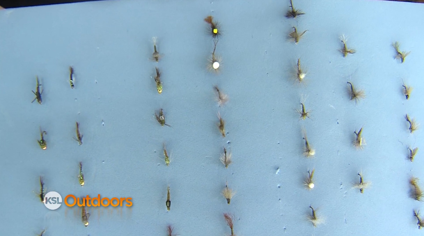 Fish Tech Fishing Tip: How to Fish with Blue Wing Olives