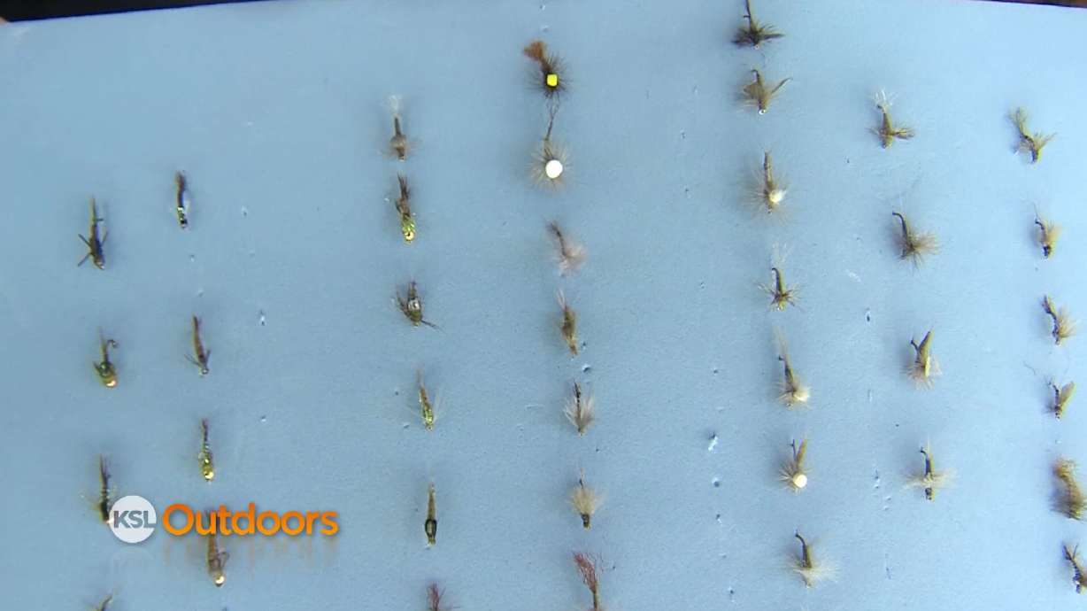 Fish Tech Fishing Tip: How to Fish with Blue Wing Olives