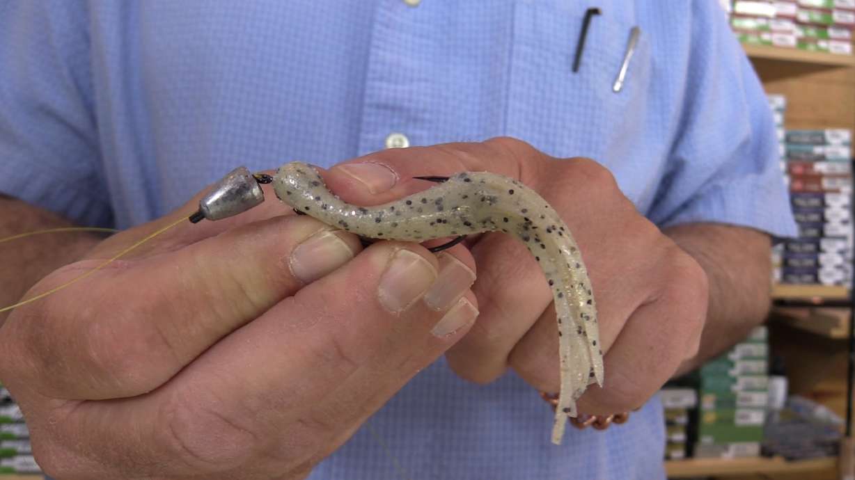 Fish Tech Fishing Tip: How to Texas Rig Your Bait