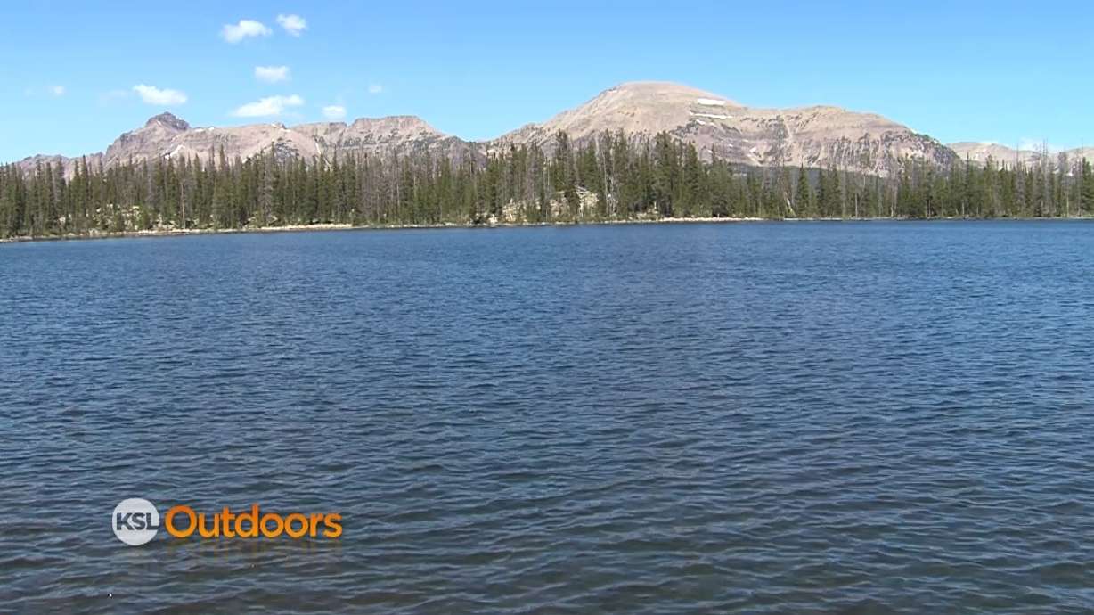 Fish Tech Tip: Escaping the Heat by Fishing in the Uintas