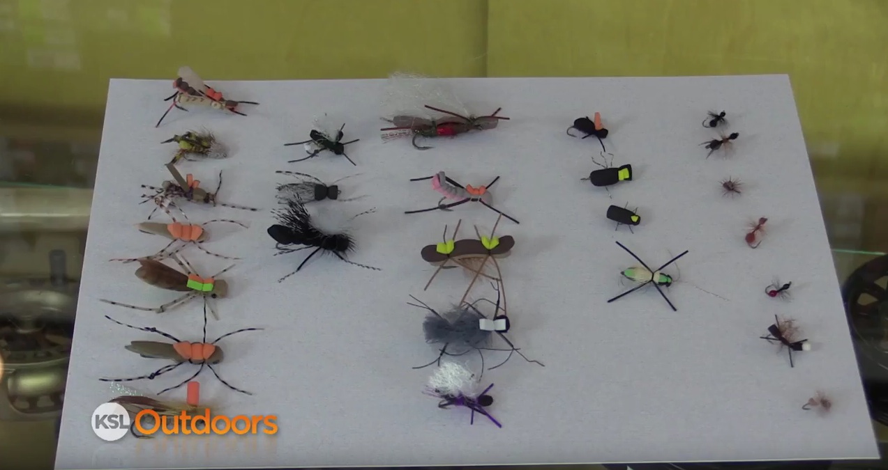 Fish Tech Fishing Tip: Fly Fishing with Hoppers