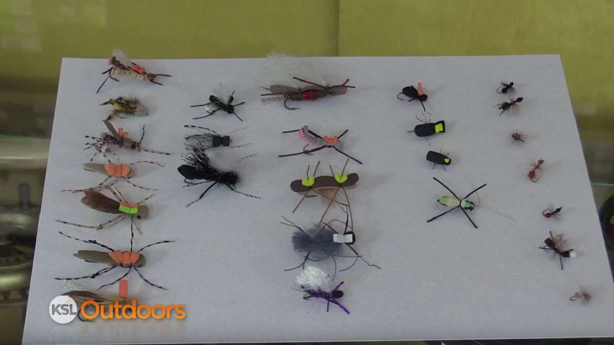 Fish Tech Fishing Tip: Fly Fishing with Hoppers