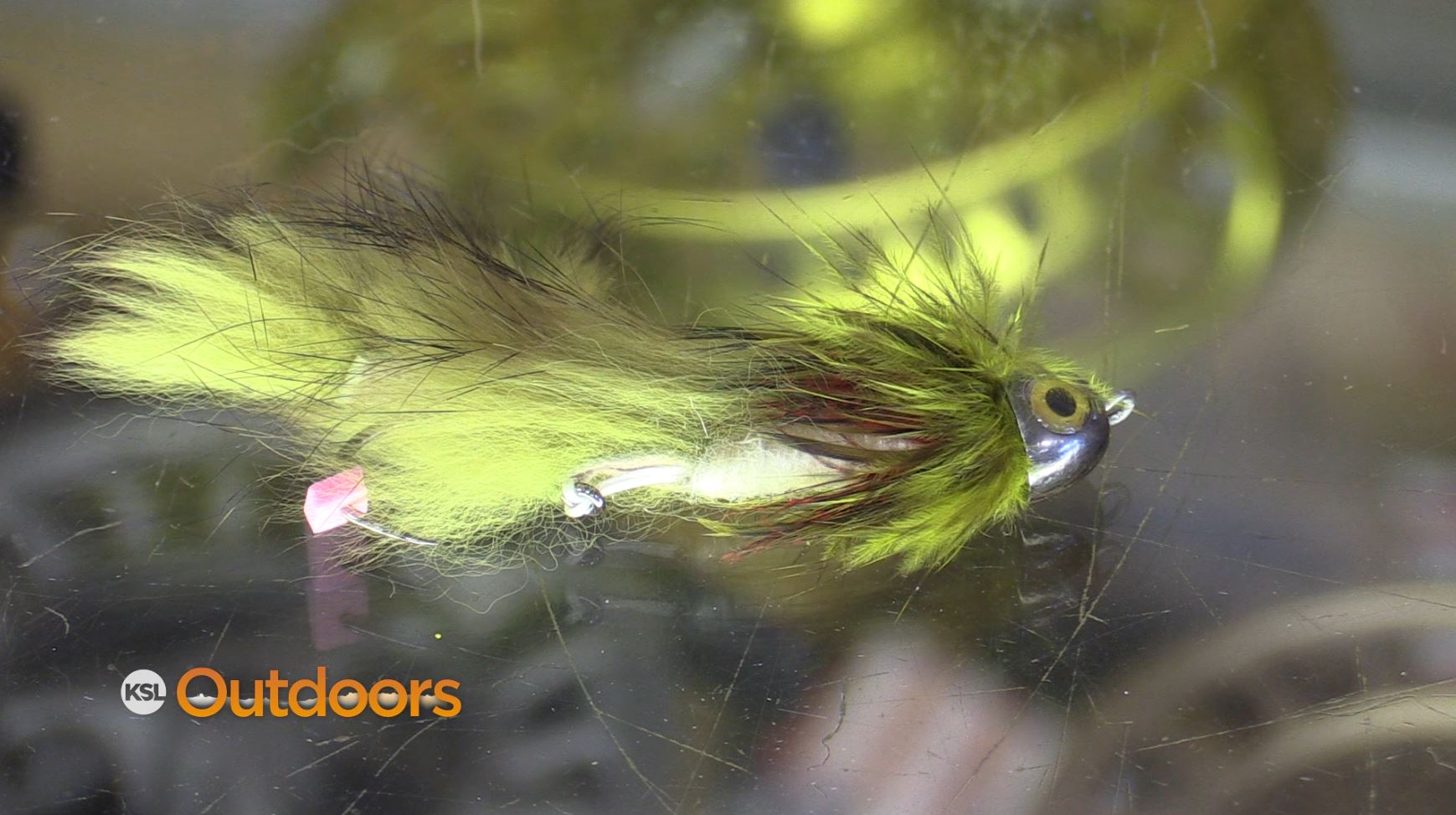 Fish Tech Fishing Tip: Fall Streamer Fishing