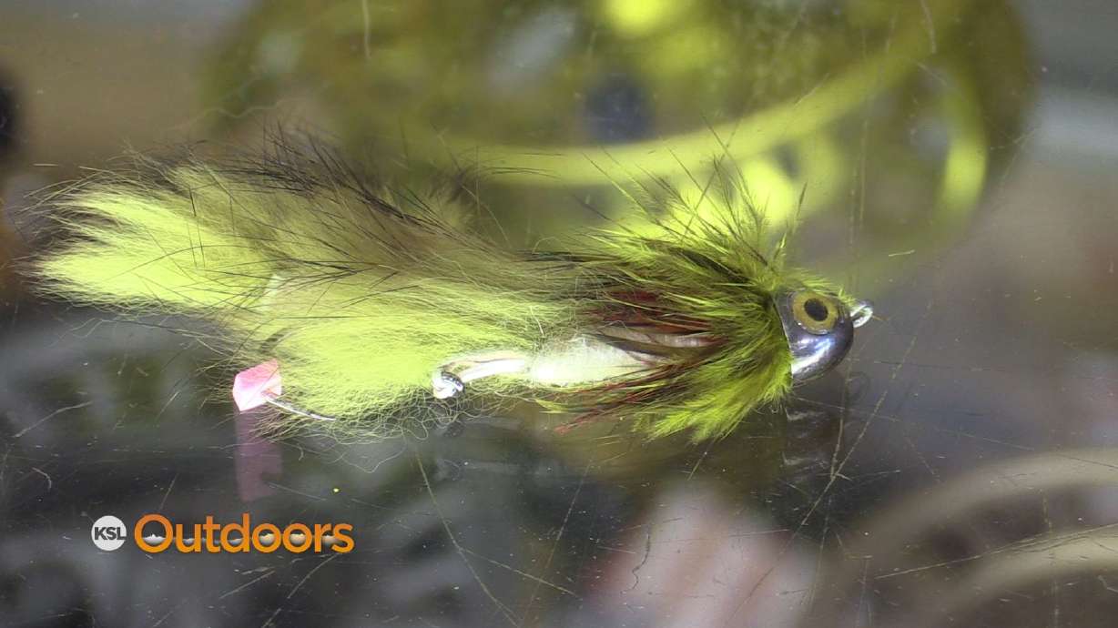 Fish Tech Fishing Tip: Fall Streamer Fishing