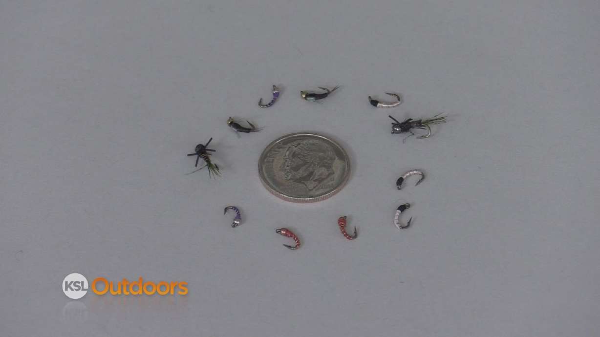 Fish Tech Fishing Tip: Winter Flies