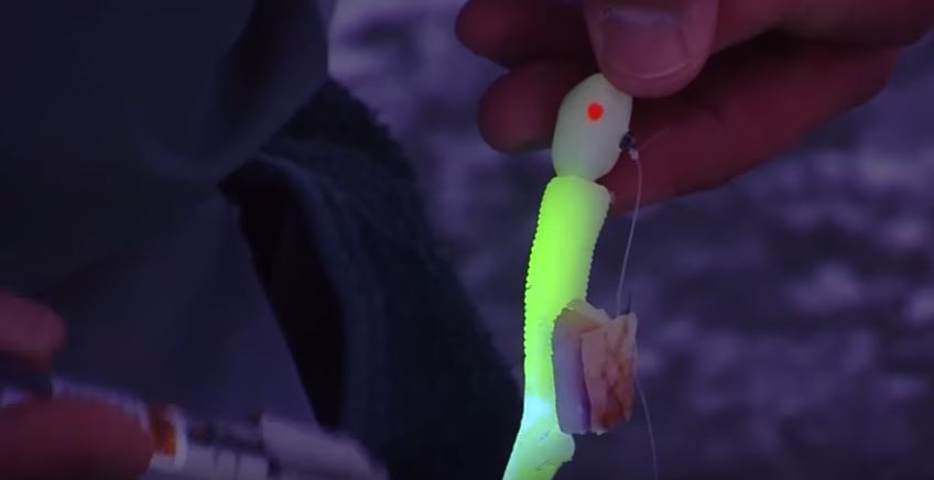 How to Catch Burbot at Flaming Gorge