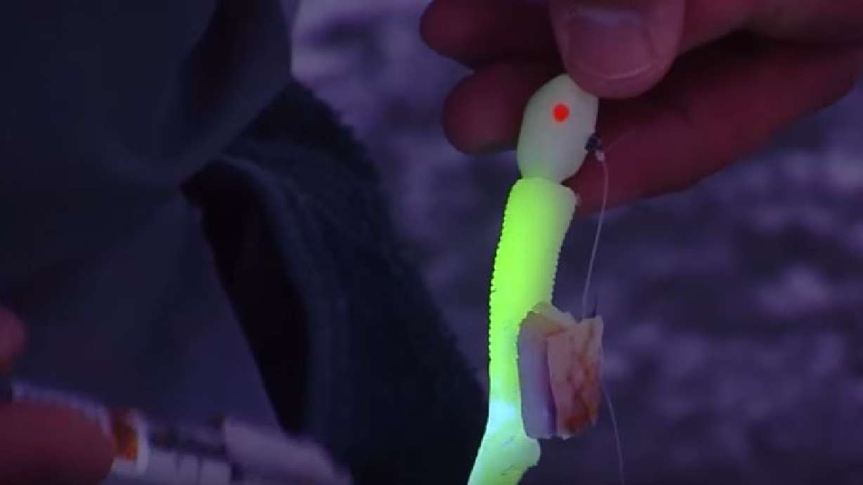 How to Catch Burbot at Flaming Gorge