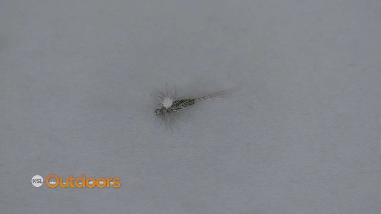 Fish Tech Fishing Tip: Blue Wing Olive Mayflies