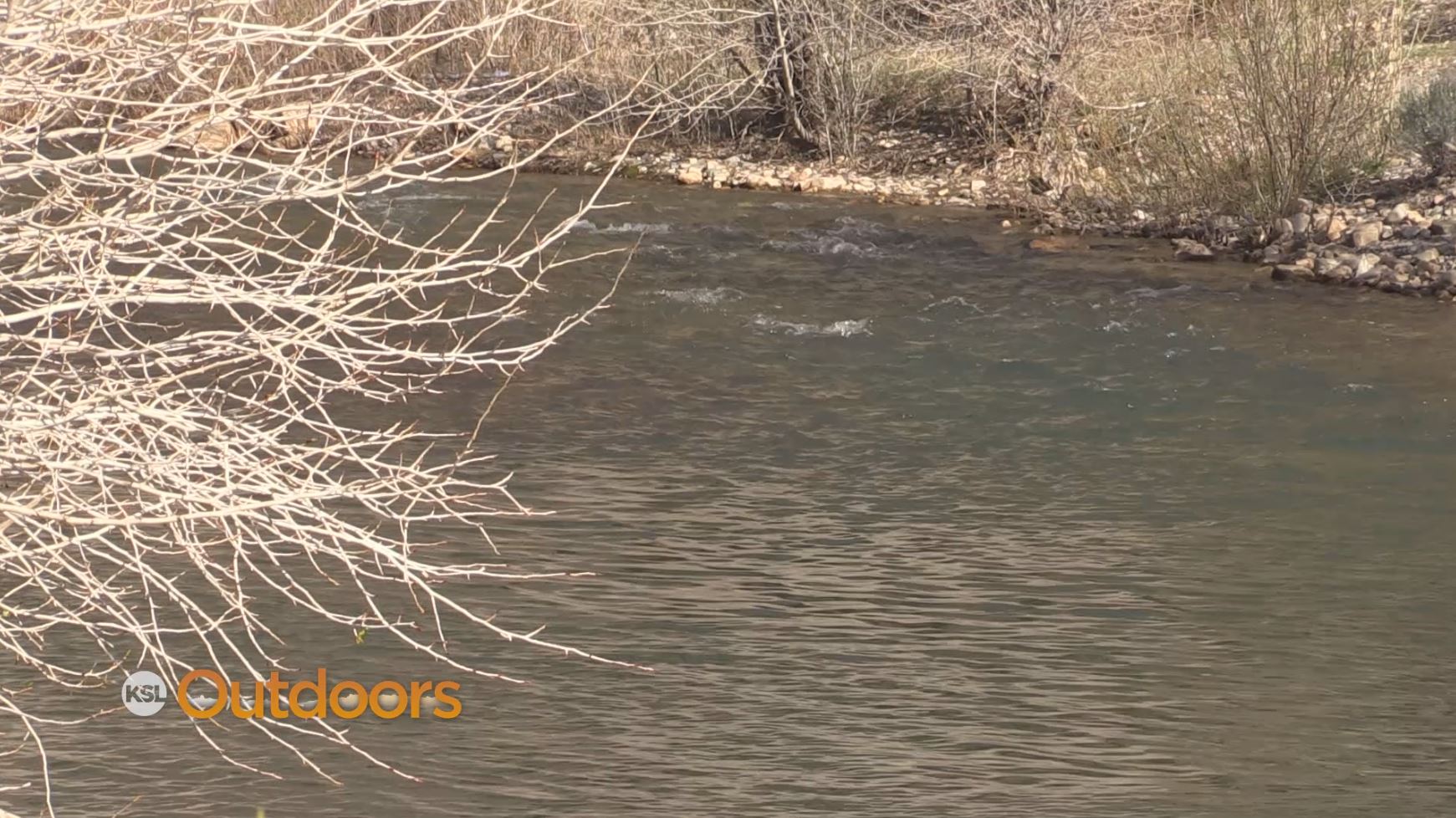 Fish Tech Fishing Tip: Flies to Use in High Water