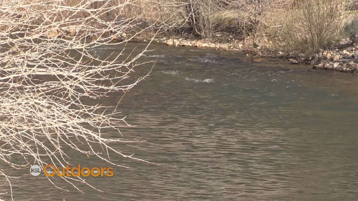 Fish Tech Fishing Tip: Flies to Use in High Water