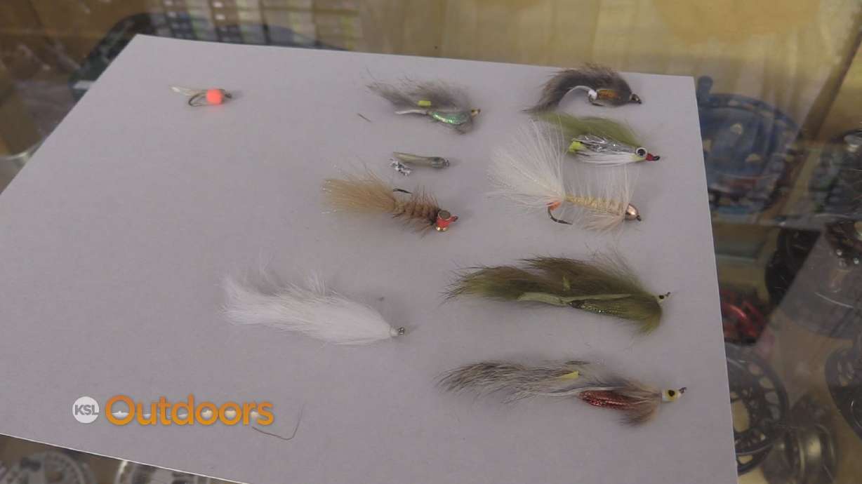 Fish Tech Fishing Tip: Fly Fishing with Baby Brown Trout Patterns