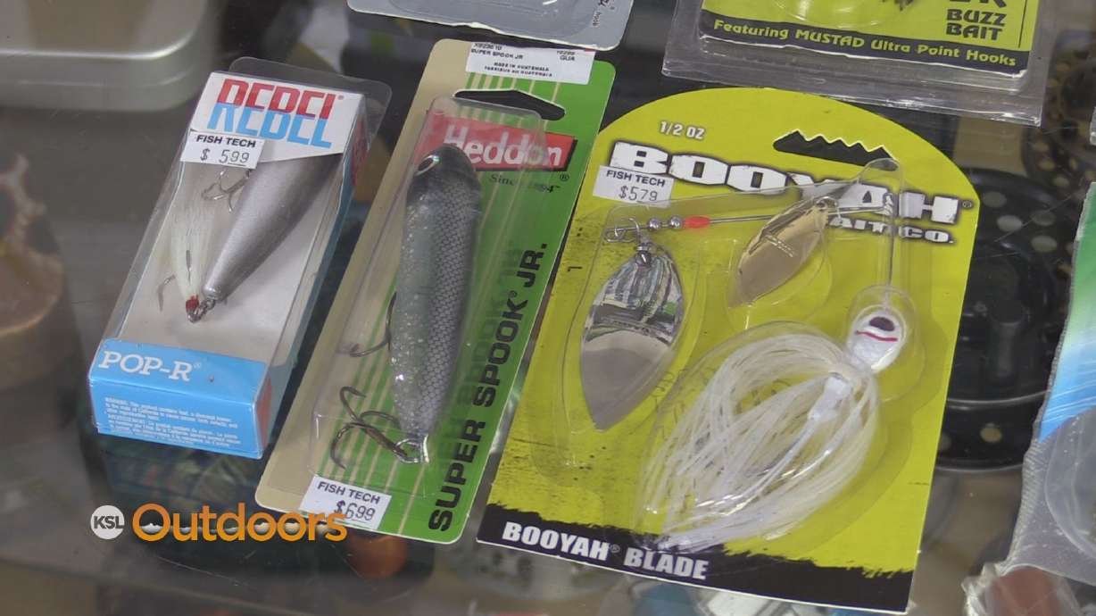 Fish Tech Fishing Tip: How to Catch Summer Bass