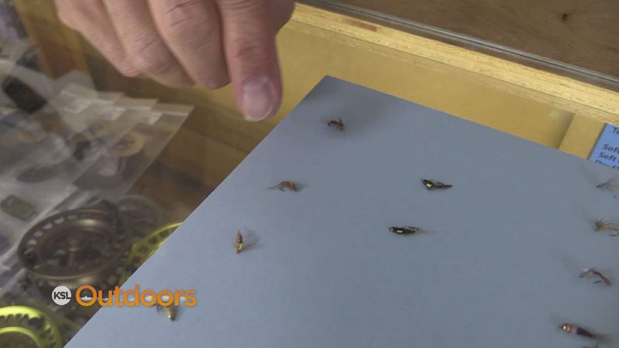 Fish Tech Fishing Tip: Late Summer Fly Fishing with PMDs