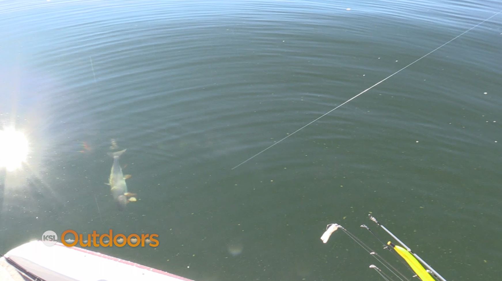 Fish Tech Fishing Tip: Fall Fishing at Strawberry Reservoir