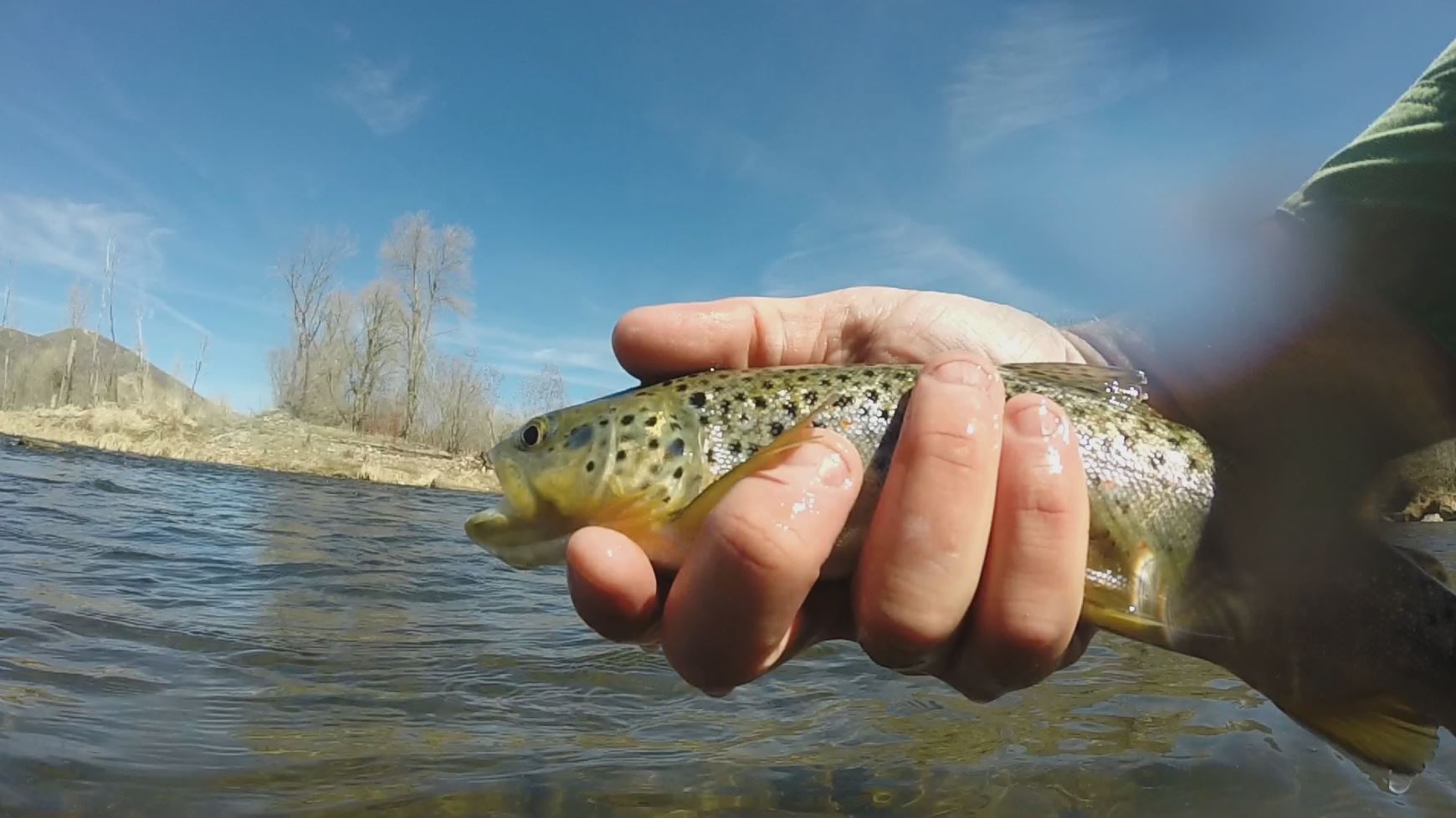Fish Tech Fishing Tip: Winter Nymph Fishing