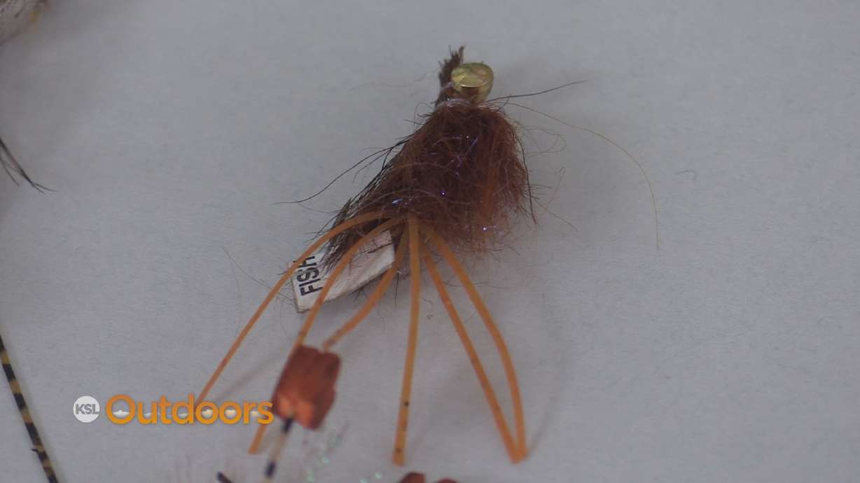 Fish Tech Fishing Tip: Using Big Winter Flies