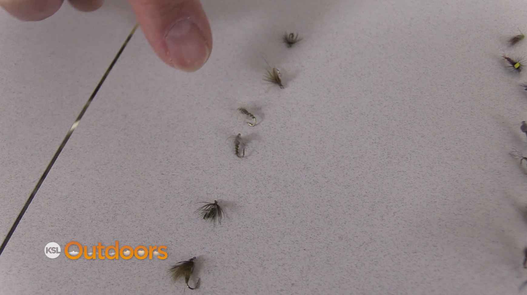 Fish Tech Fishing Tip: The Blue Wings are Here!