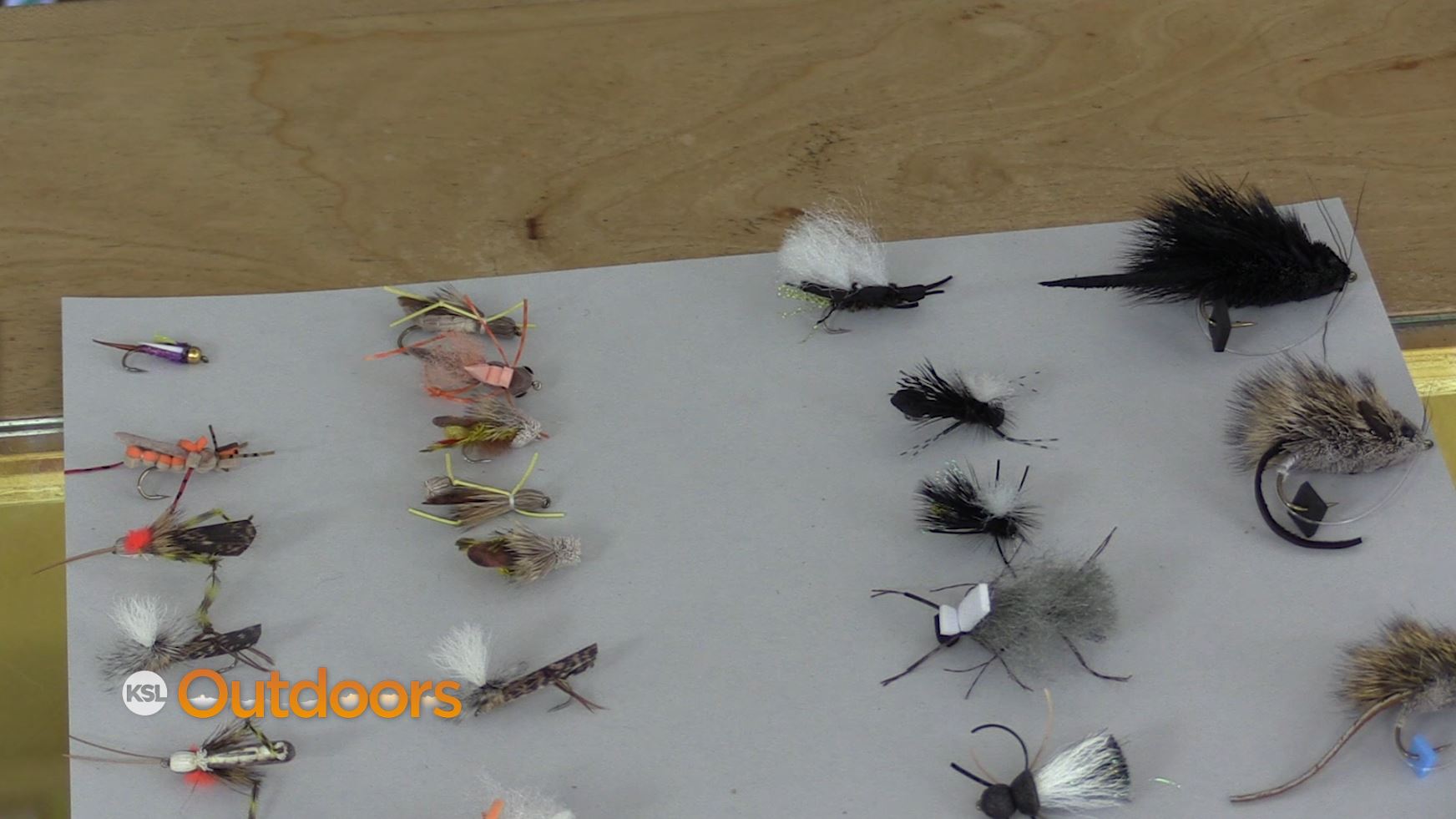 Fish Tech Fishing Tip: Terrestrials and When to Use Them