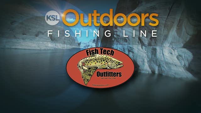 Fishing Line for 10/01/2011