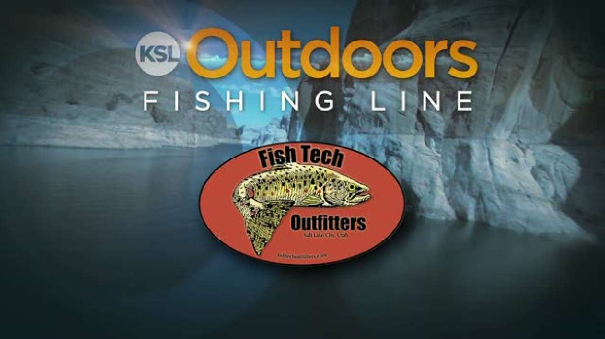 Fishing Line for 10/01/2011