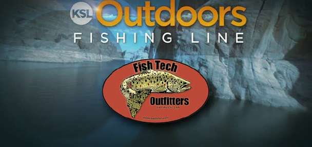 Fishing Line for 10/01/2011