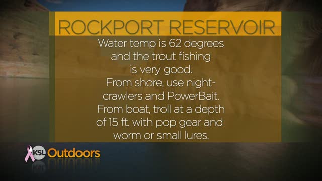 Fishing Line 10/08/2011