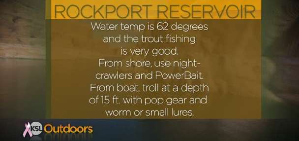 Fishing Line 10/08/2011