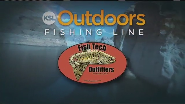 Fishing Line 10/15/2011