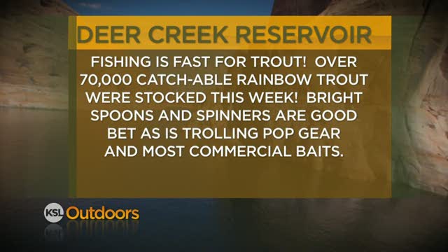 Fishing Line 11/05/2011