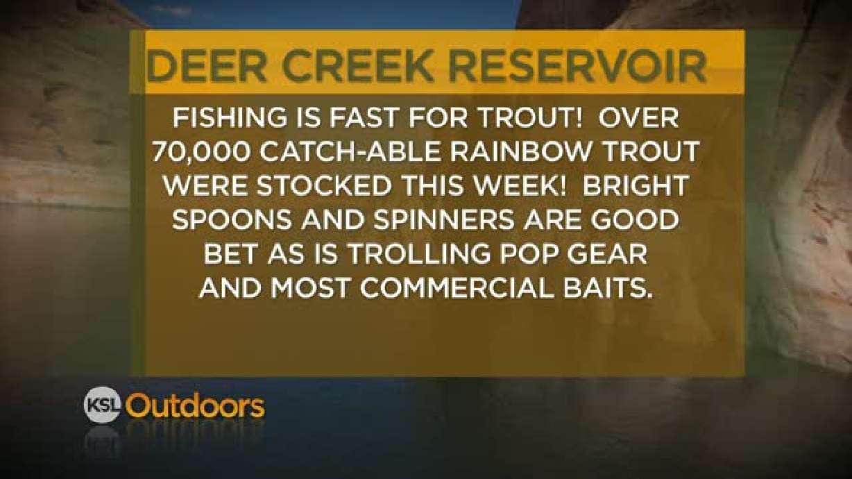 Fishing Line 11/05/2011