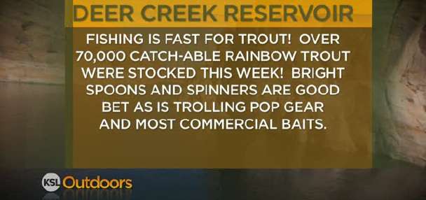 Fishing Line 11/05/2011