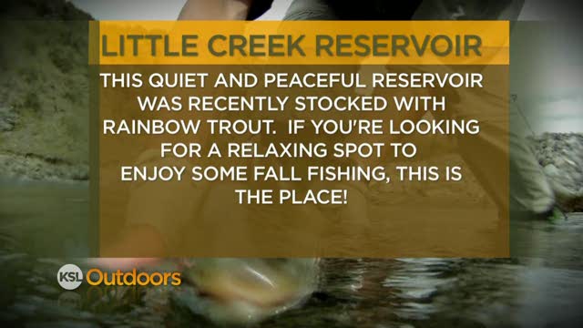 Fishing Line 11/12/2011