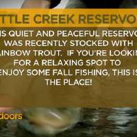 Fishing Line 11/12/2011