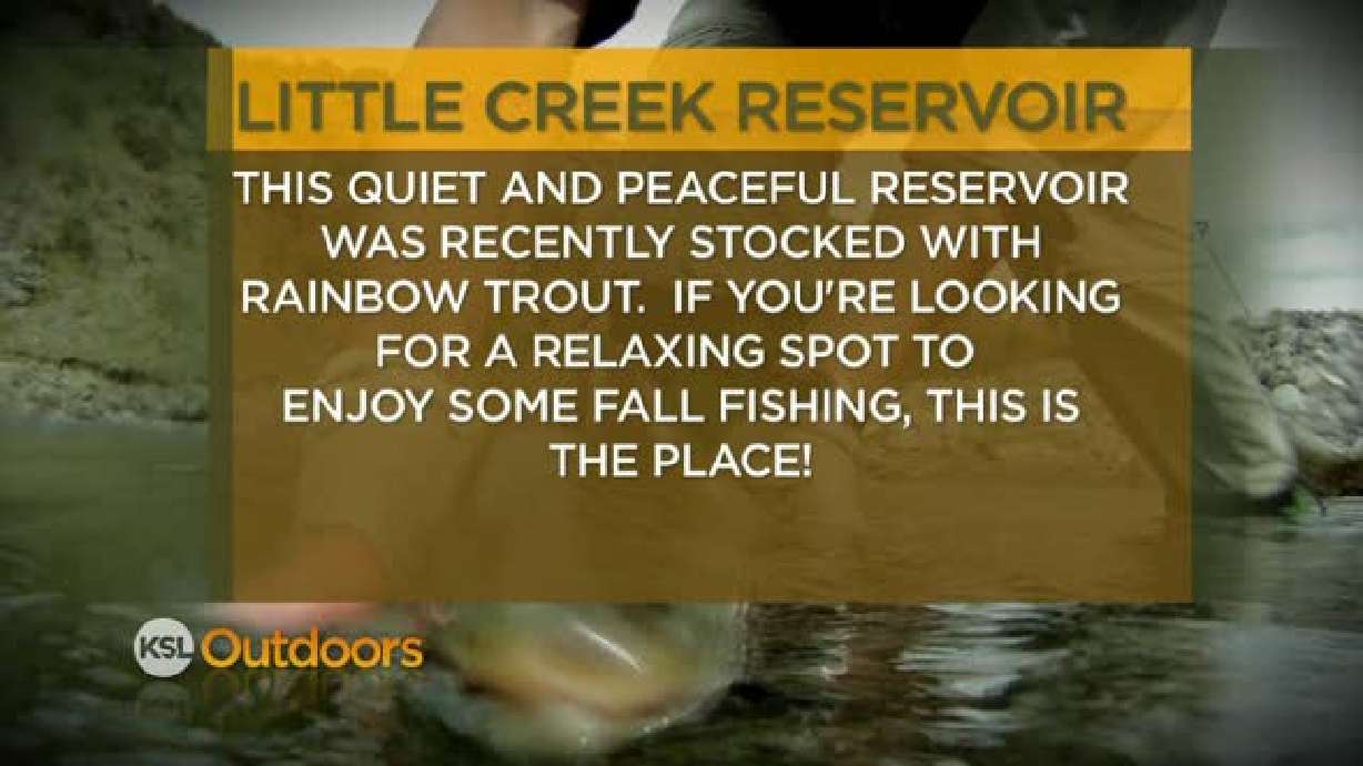 Fishing Line 11/12/2011