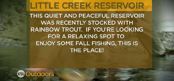 Fishing Line 11/12/2011