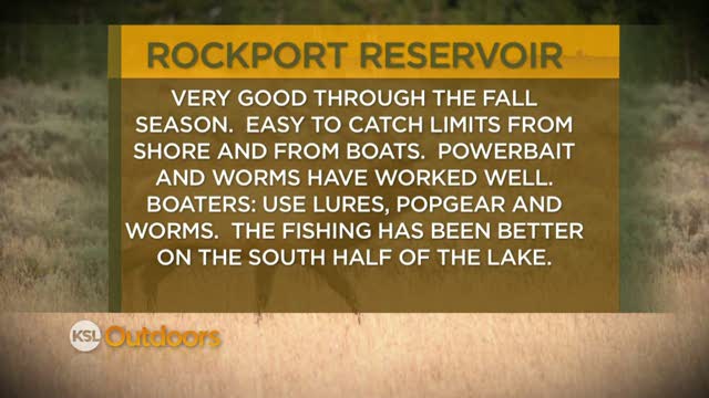 Fishing Line 11/19/2011