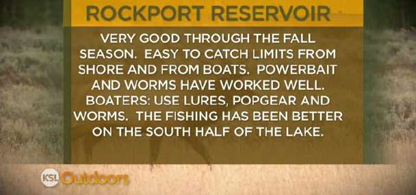 Fishing Line 11/19/2011