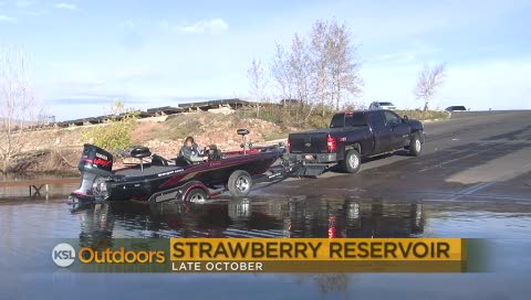 Fishing Line 11/26/2011