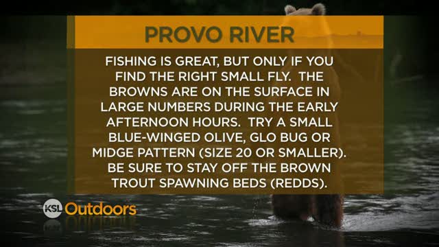 Fishing Line 12/3/2011