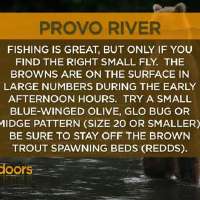 Fishing Line 12/3/2011